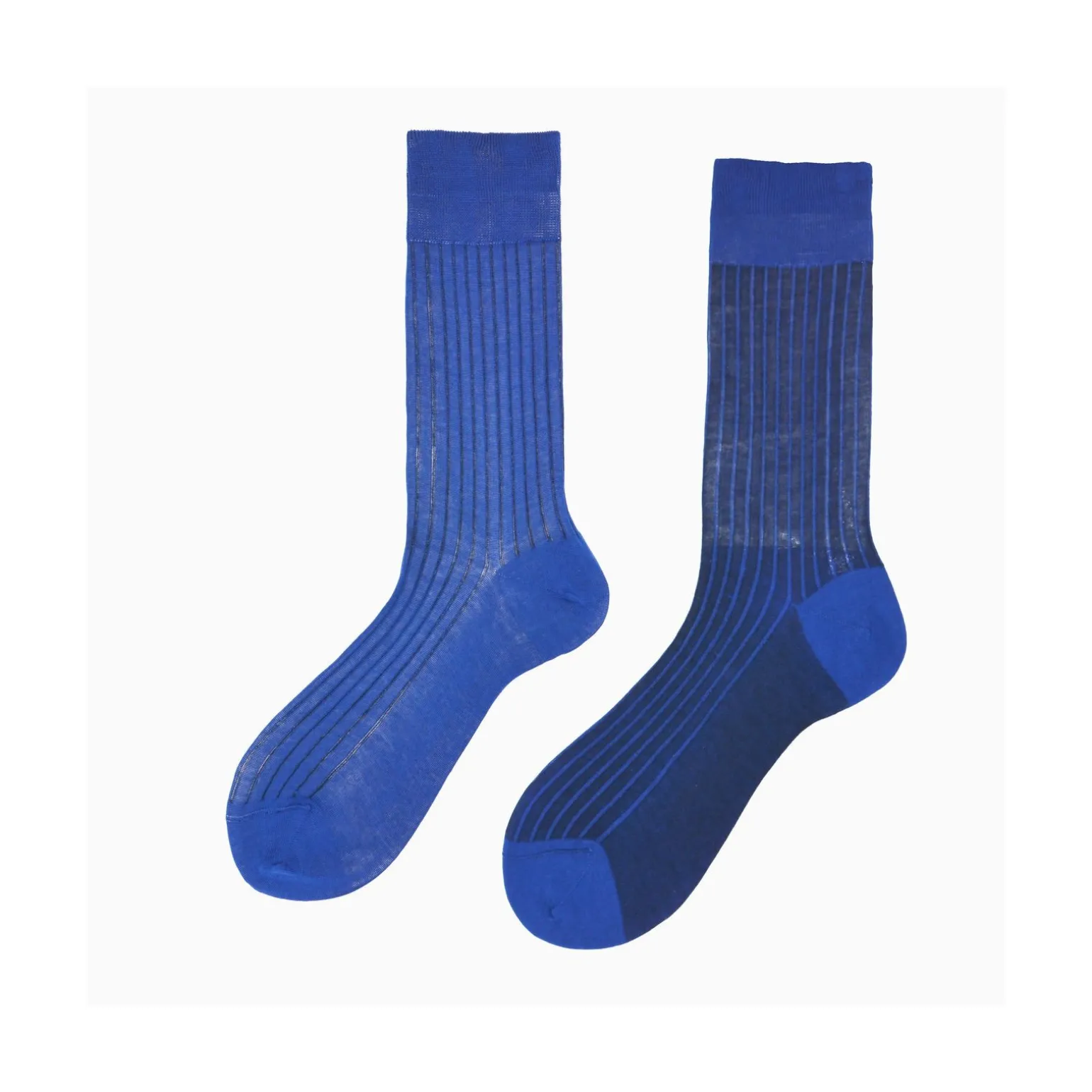 Calza corta uomo in cotone a costa con contrasto Pointer